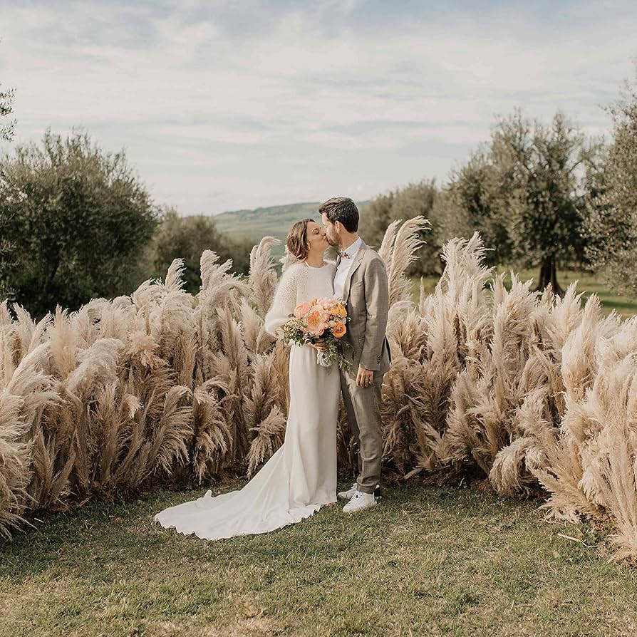 高品質★超特大130㎝　パンパスグラス5本 f4bb848b15ce0d7105bda8814cdc21